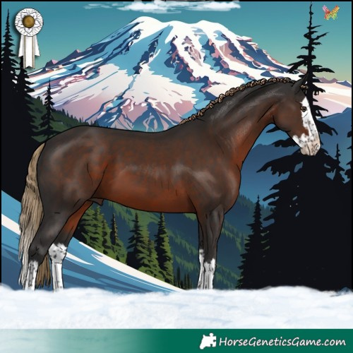 Horse Color:Liver Chestnut Splash 