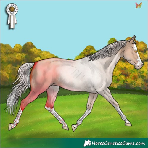 Horse Color:Silver Classic Champagne Dun Splash 