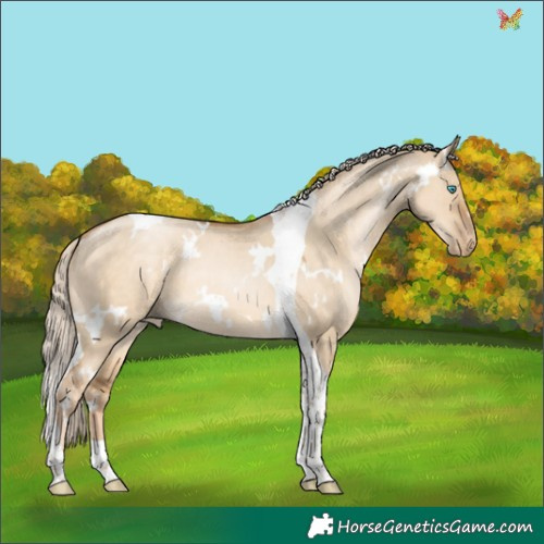 Horse Color:White Spotted Chocolate Palomino Pearl Dun Tobiano 