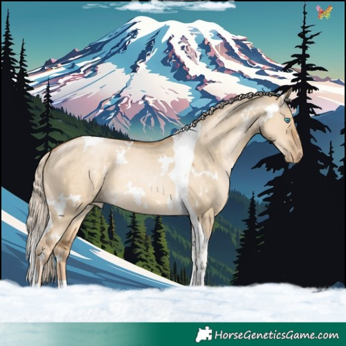 Horse Color:White Spotted Chocolate Palomino Pearl Dun Tobiano 