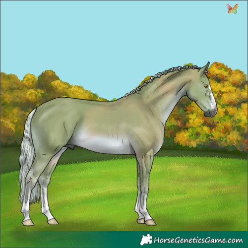 Horse Color:Gray Watercolor Palomino