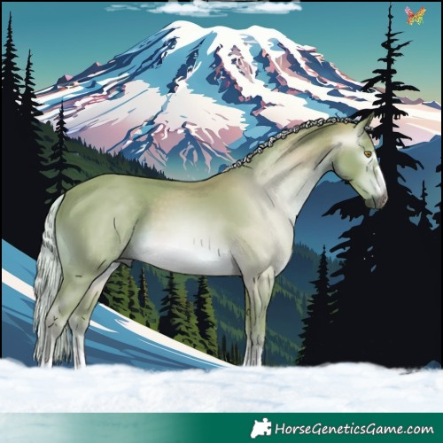 Horse Color:Gray Watercolor Palomino 