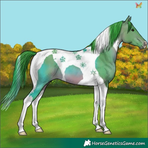 Horse Color:Watercolor Brown Dun Tobiano 