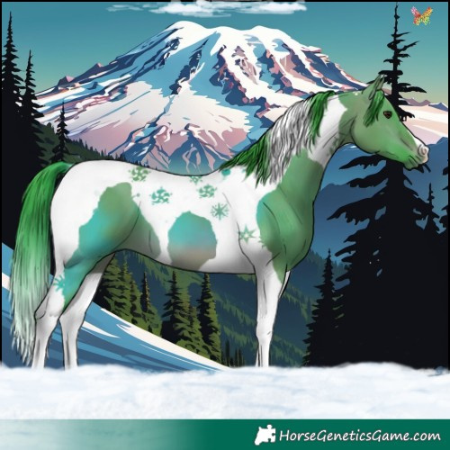 Horse Color:Watercolor Brown Dun Tobiano 