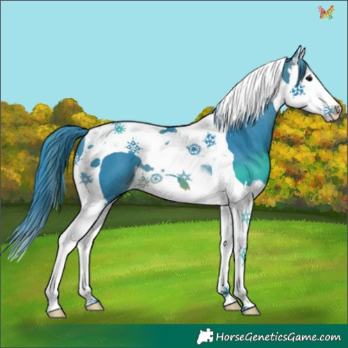 Horse Color:Watercolor Brown Splash Tobiano 