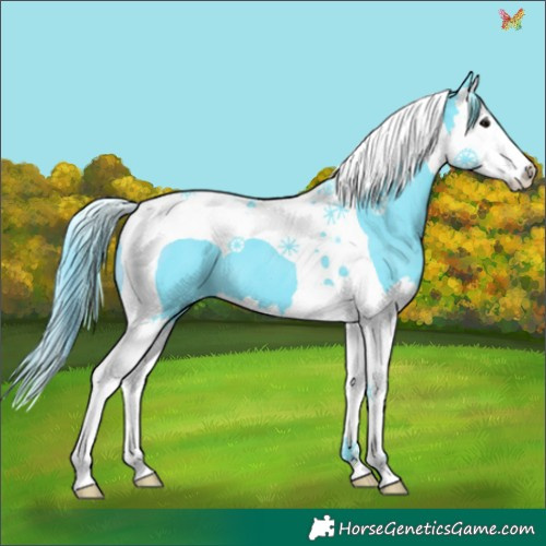 Horse Color:Watercolor Black Splash Tobiano 