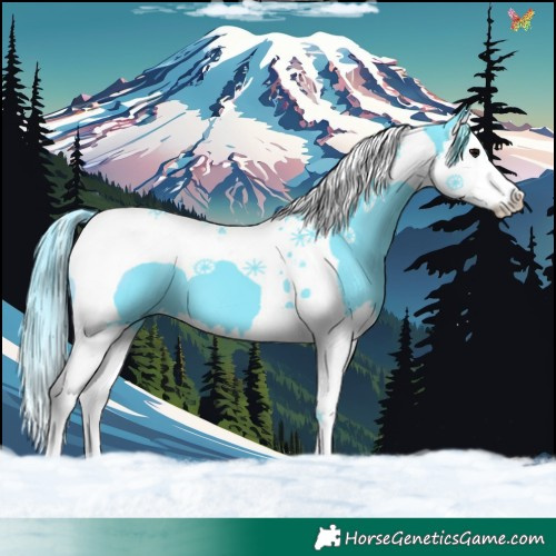 Horse Color:Watercolor Black Splash Tobiano 