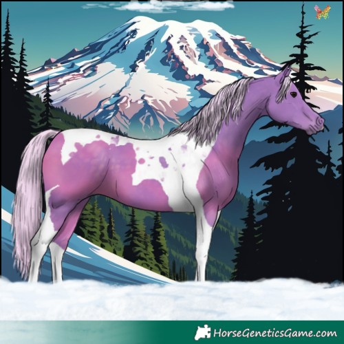 Horse Color:Watercolor Silver Black Tobiano 
