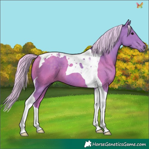 Horse Color:Watercolor Silver Black Tobiano 