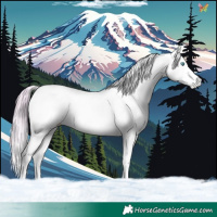 Horse Color:Watercolor White Spotted Silver Black Splash Tobiano