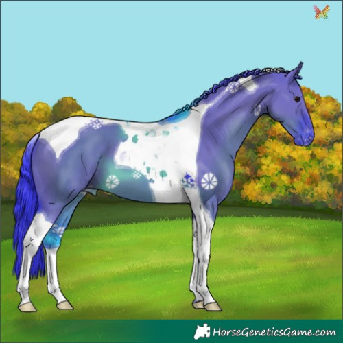 Horse Color:Watercolor Grullo Tobiano Appaloosa 