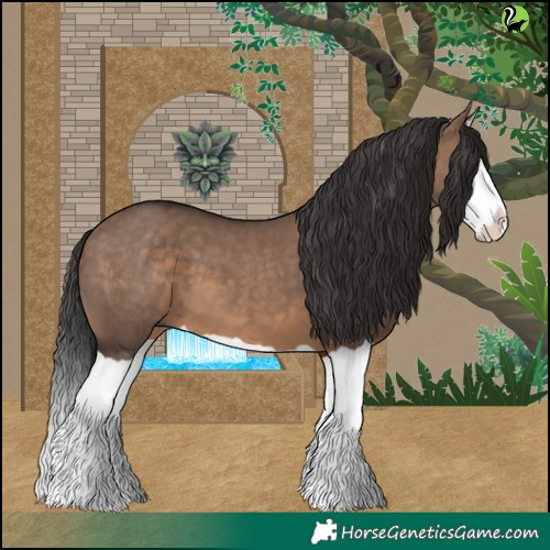 Horse Color:Brown Dun Splash 