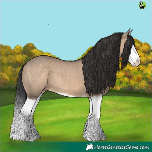 Horse Color:Brown Dun Splash 