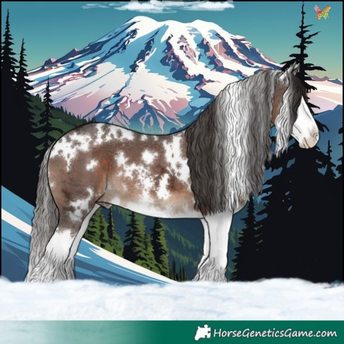 Horse Color:White Spotted Liver Chestnut Ice Sabino Splash 