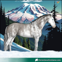 Horse Color:White Spotted Grullo Splash 