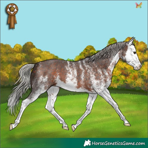 Horse Color:White Spotted Silver Brown Splash 
