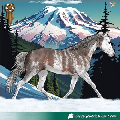 Horse Color:White Spotted Silver Brown Splash 
