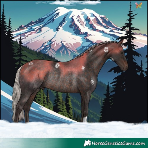 Horse Color:Silver Brown Rabicano 