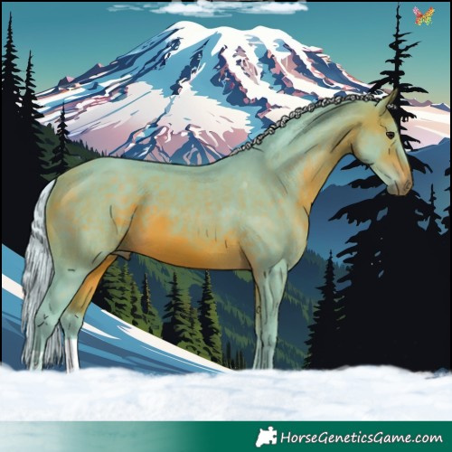 Horse Color:Watercolor Silver Bay 