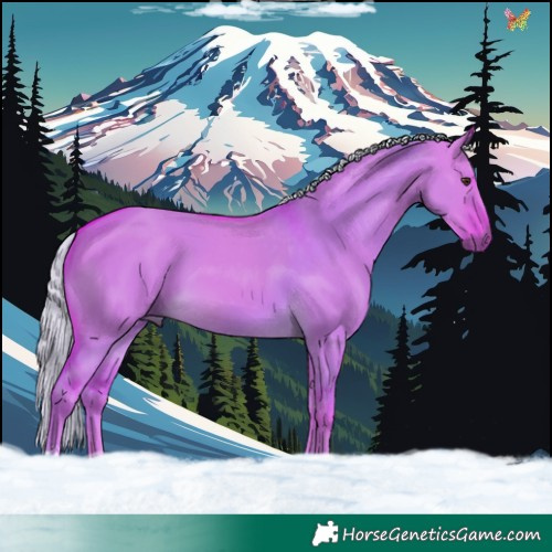 Horse Color:Watercolor Chocolate Palomino Dun 