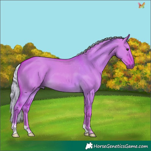 Horse Color:Watercolor Chocolate Palomino Dun 