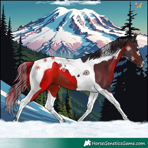 Horse Color:Brown Tobiano 
