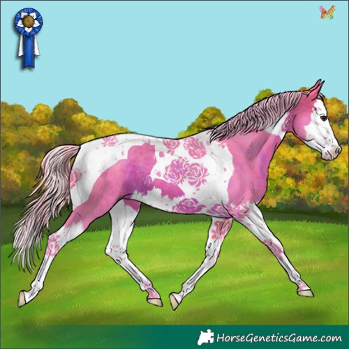 Horse Color:Watercolor Silver Brown Splash Tobiano 