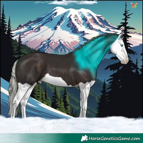 Horse Color:Liver Chestnut Splash 