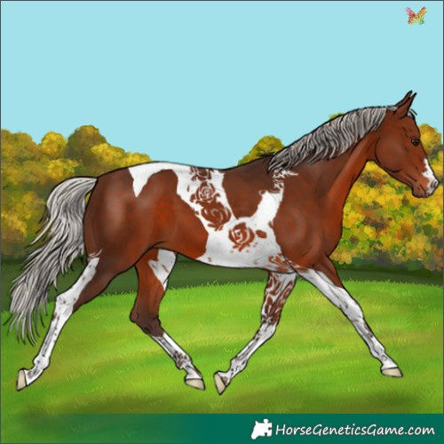 Horse Color:Silver Brown Tobiano 