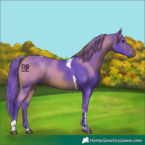 Horse Color:Watercolor Brown Tobiano 