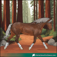 Horse Color:Silver Brown 