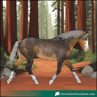 Horse Color:Silver Buckskin Rabicano
