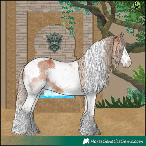 Horse Color:Chestnut Splash Tobiano 
