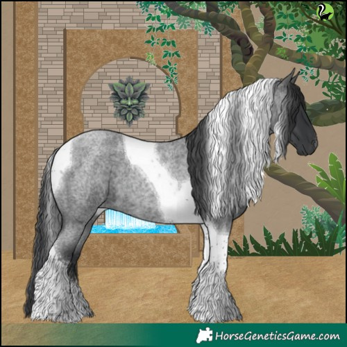 Horse Color:Blue Roan Tobiano 