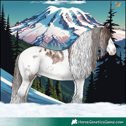 Horse Color:Liver Chestnut Splash Tobiano Appaloosa 