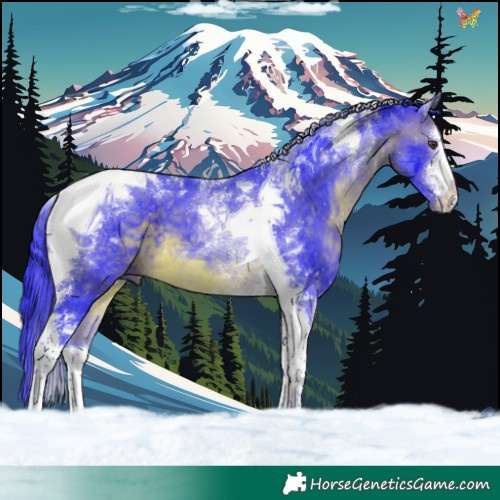 Horse Color:Watercolor White Spotted Brown Tobiano 
