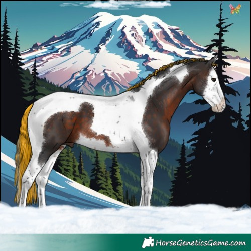 Horse Color:Painted White Spotted Brown Splash Tobiano 