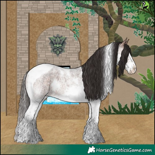 Horse Color:Brown Roan Splash Tobiano 