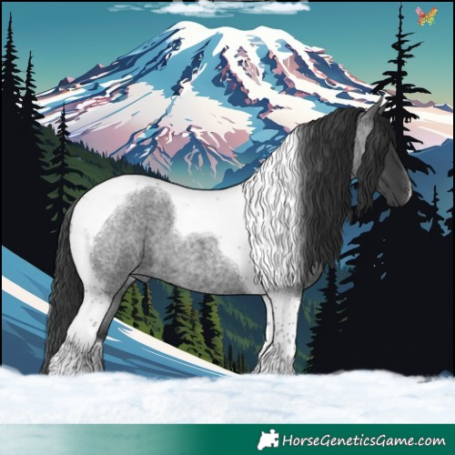 Horse Color:Blue Roan Tobiano 
