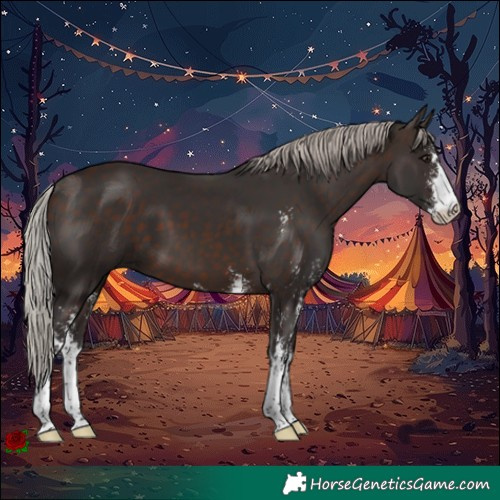 Horse Color:Silver Brown Sabino 