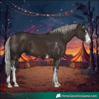 Horse Color:Silver Brown Sabino