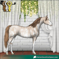 Horse Color:Grullo Pearl Sabino