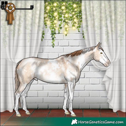 Horse Color:White Spotted Brown Pearl Dun Sabino Splash 