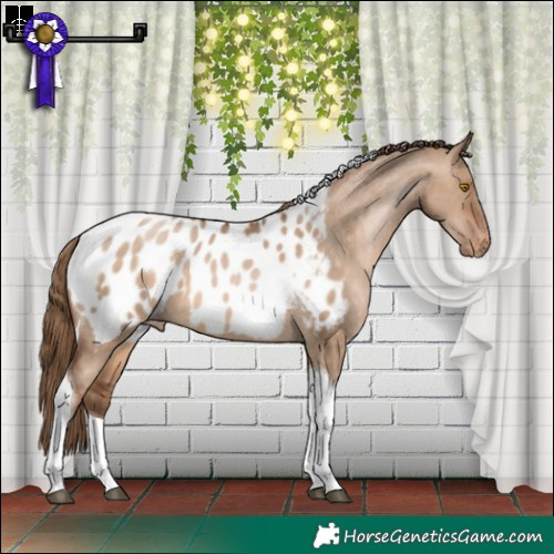 Horse Color:Brown Pearl Dun Tobiano Blanket 