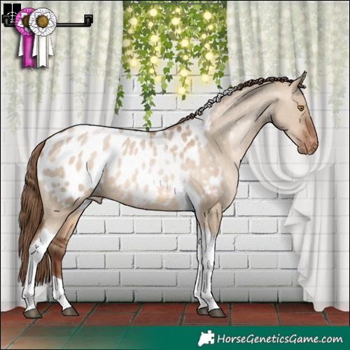 Horse Color:Brown Pearl Dun Tobiano Blanket 