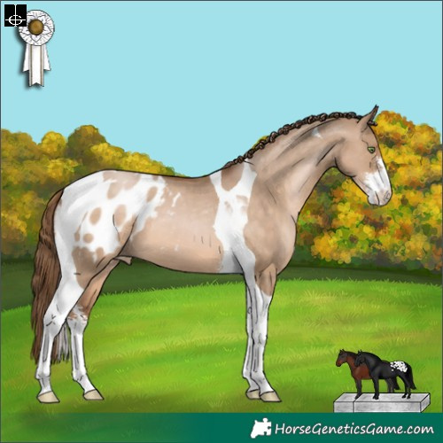Horse Color:Brown Pearl Dun Sabino Tobiano Appaloosa