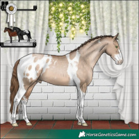 Horse Color:Brown Pearl Dun Sabino Tobiano Blanket 