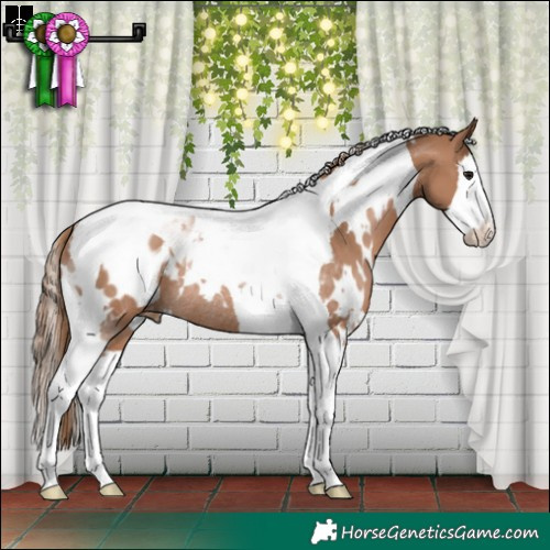 Horse Color:White Spotted Black Pearl Splash Tobiano Blanket Rabicano 
