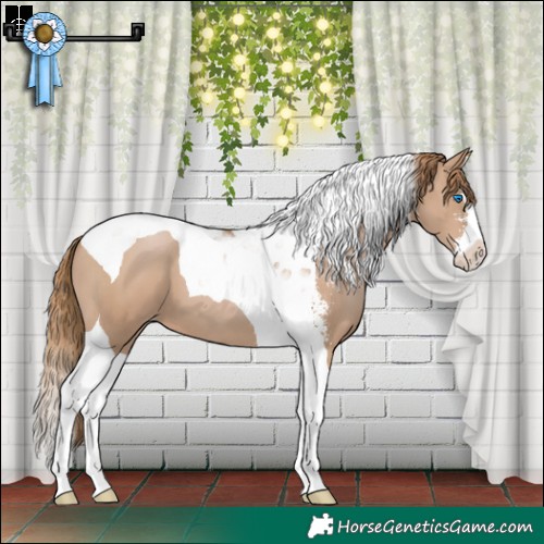 Horse Color:Black Pearl Sabino Splash Tobiano Varnish 