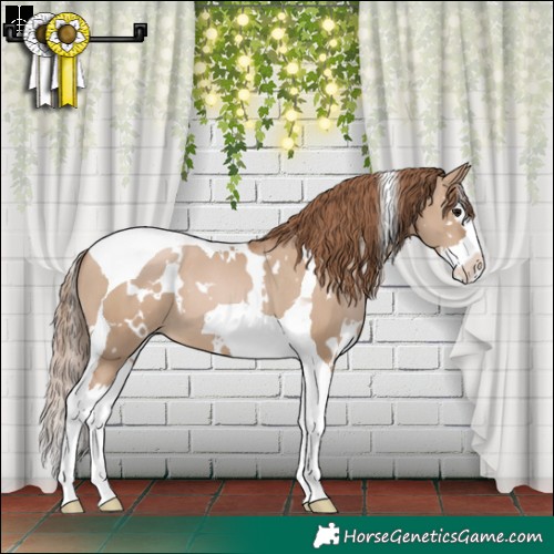 Horse Color:White Spotted Grullo Pearl Splash Tobiano 